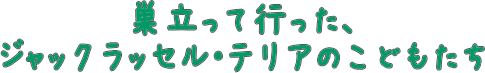 WbNbZeÂǂ